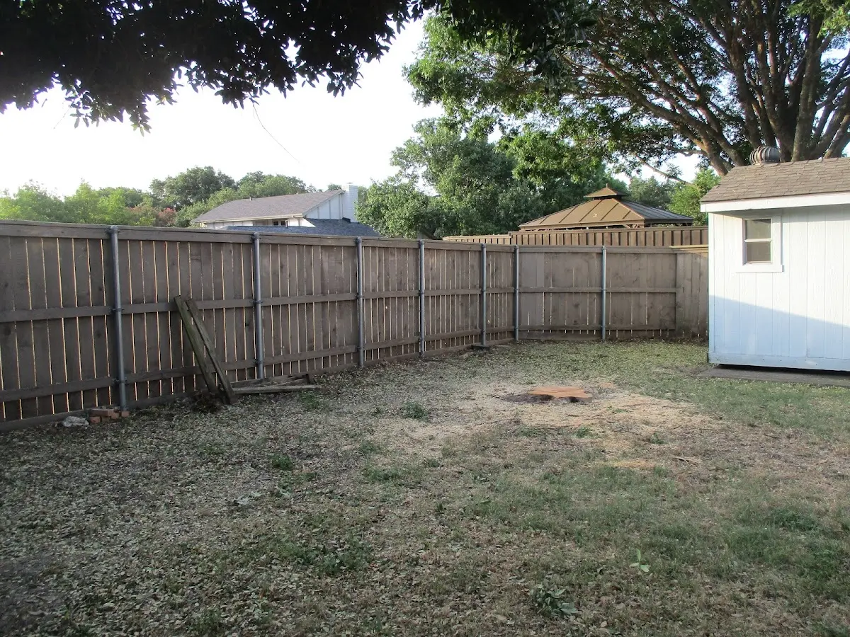 Cleared yard after professional tree removal in Pine Grove